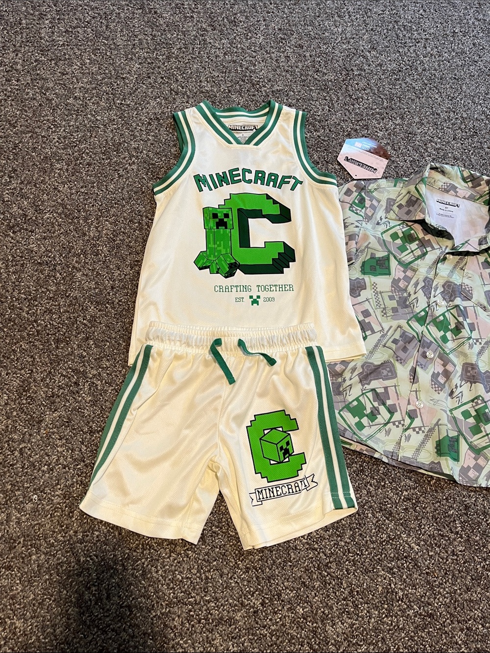 Minecraft bundle - Picture 2 of 3